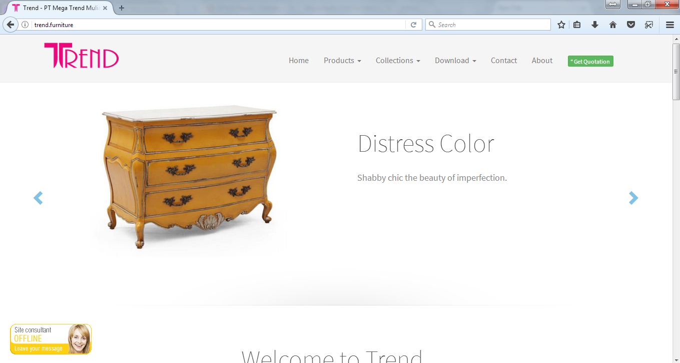 Website Company Profile - Trend